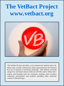 Flyer (PDF).