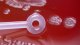 <p><strong>Fig. 61:4. </strong>Close up of colonies of <em>Nicoletella semolina</em> (strain BKT 9455/08) cultivated on horse blood agar during 48 h at 37°C in 5% CO2. It is possible to move the colonies on the agar surface by means of a plastic loop.</p>

<p> </p>