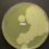 <p><strong>Fig. 24:1.</strong> Colonies of <i>Clostridium botulinum</i>, type C, strain BKT 218387/08, cultivated on McClung-Toabe-agar during 48 h at 37°C under anaerobic conditions. Note the precipitation of fatty acids around the colonies due to the presence of lecithinase in these bacteria.</p>

<p> </p>