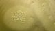 <p><strong>Fig. 24:2.</strong> Close-up of kolonies of <i>Clostridium botulinum</i>, type C, strain BKT 218387/08, cultivated on McClung-Toabe agar during 48 h at 37°C under anaerobic conditions. Note the precipitation of fatty acids around the colonies due to the presence of lecithinase in these bacteria. The total length of the scale bar is equivalent to 10 mm.</p>

<p> </p>