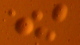 <p><strong>Fig. 36:1.</strong> Photomicrograph of colonies of <em>Mycoplasmoides gallisepticum</em> strain ALD002107/08, cultivated on M agar during 6 days at 37°C with 5% CO<sub>2</sub>. The colonies are 0,1-0,5 mm i diameter. Note the typical "fried egg-appearence", which most mycoplasmas have, but <em>M. gallisepticum</em> has a very tiny "yolk".</p>

<p> </p>