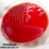 <p><b>Fig. 11:1.</b> Colonies of <i>Bacillus anthracis</i> from the <b>anthrax outbreak in Halland (Sweden) in December, 2008</b>.</p>

<p> </p>