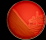 <strong>Fig. 135:1.</strong> Colonies of <i>Staphylococcus pseudintermedius</i>, strain VB 001/09, cultivated aerobically for 24 h on bovine blood agar at 37°C. Note the double zone of hemolysis. The arrows indicate the border between the first and second hemolysis zone (complete and partial hemolysis, respectively). The complete hemolysis is caused by an α-hemolysin and the partial by a β-hemolysin.
<p>