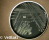 <p><strong>Fig. 64:1.</strong>Colonies of <i>Legionella pneumophila</i> subsp.<i> pneumophila</i>, strain 28/93, cultivated aerobically during 48 h. on a Buffered Charcol Yeast Extract (BCYE) agar plate at 37°C.</p>

<p> </p>