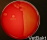 <p><strong>Fig. 15:2.</strong> Colonies of <i>Streptococcus equi</i> subsp. <i>zooepidemicus</i>, strain VB 003/09, cultivated anaerobically during 24 h on bovine blood agar at 37°C. Photographed with <strong>lighting from below</strong>. Note the clear β-hemolysis zone around the colonies.</p>

<p> </p>