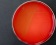 <p><b>Fig. 1.</b> Colonies of <i>Erysipelothrix rhusiopathiae</i>, strain CCUG 221<sup>T</sup>, cultivated aerobically during 24 h on horse blood agar at 37°C in the presence of 5% CO<sub>2</sub>. Note the greenish α-hemolysis. Single colonies are possibly visible under the scale bar. Cf. Fig. 2. The length of the scale bar corresponds to 1 cm. Date: 2010-06-02.</p>

<p> </p>