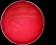 <p><b>Fig. 20:3.</b> Colonies of <i>Staphylococcus aureus</i> subsp. <i>aureus</i>, strain SLV 350, cultivated aerobically on bovine blood agar during 24 h at 37°C. Note the doubble hemolysis, which is visible with lighting from below. The black slanted arrows show the inner clear hemolysis zone and the blue horisontal arrows show the outer broad and diffuse hemolysis zone. The length of the scale bar is equivalent to 1 cm. Date: 2011-01-24.</p>

<p> </p>