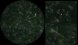 <p><b>Fig. 208:1.</b> Dark field photomicrograph of <i>Borrelia anserina</i>, strain FSD Pakistan. Image B and C show partial close-ups of the viewing field in image A, where the wave shape morphology can be observed (c.f. Fig 208:2-3). Date: 2011-04-26.</p>

<p> </p>