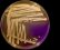 <p><b>Fig. 156:4</b>. Colonies of <i>Klebsiella oxytoca</i>, strain CCUG 15717<sup>T</sup>, cultivated aerobically on purple agar (with lactose) during 24 h at 37°C. Note the mucoid appearence of the colonies and that <i>K. oxytoca</i> ferments lactose. The length of the scale bar is equivalent to 1 cm. Date: 2011-06-23.</p>

<p> </p>
