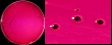 <p><b>Fig. 70:6.</b> Colonies of <i>Salmonella enterica</i> subsp. <i>enterica</i>, isolate LL 681, cultivated aerobically on XLD agar at 37°C during 24 h. Note the black colour of the colonies. A, overview image, where the length of the scale bar is equivalent to 1 cm. B, close-up of the colonies, which shows that the edge of the colony is not black. The total length of the scale bar is equivalent to 5 mm.</p>

<p> </p>
