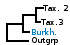 <strong>Fig. 49:1.</strong> Phylogenetic tree based on 16S rRNA gene sequences, which illustrates the relations between members of the classes <i>α-proteobacteria</i> and <i>β-proteobacteria</i>, which are indicated with vertical bars. All taxa in the tree belong to the phylum <i>Proteobacteria</i> except <i>Fusobacterium necrophorum</i> subsp. <i>necrophorum</i>, which belongs to the phylum <i>Fusobacteria</i>. Names of taxa in blue are included in VetBact and taxa in bold are included in this  bacterial page.</p> 

<p>The tree was generated on line by using the computer program "Tree Builder" at <a href="http://rdp.cme.msu.edu/" target="_blank">the website of RDP</a>. <i>F. necrophorum</i> subsp. <i>necrophorum</i> was chosen as outgroup. (T) means type strain. Date: 2016-01-14.</p>