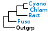 <strong>Fig. 153:1</strong> Phylogenetic tree based on 16S rRNA gene sequences, which illustrates the relations between members of the following phyla: <i>Cyanobacteria, Chlamydiae, Bacteroidetes</i> and <i>Fusobacteria</i>, which are indicated by vertical bars. Names of taxa in blue are included in VetBact and taxa in bold are included in this  bacterial page.</p> 

<p>The tree was generated on line by using the computer program "Tree Builder" at <a href="http://rdp.cme.msu.edu/" target="_blank">the website of RDP</a>. <i>E. coli</i> was chosen as outgroup. (T) means type strain. Date: 2016-03-02.</p>