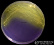 <p><strong>Fig. 190:4.</strong> Colonies of <i>Enterococcus faecium</i>, VRE strain, cultivated on purple agar at 37°C during 24 h. Note that the colour change around the colonies shows that lactose is fermented during acid production. The total length of the scale bar is equivalent to 10 mm. Date: 2016-10-18.</p>

<p> </p>