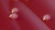 <p>Close up of colonies of <i>Taylorella equigenitalis</i> (strain CCUG 16464) cultivated on hematin agar during 48 h. Cf. <i>Taylorella asinigenitalis</i>, which was cultivated on the same agar plate. The total length of the scale bar is equivalent to 5 mm.</p>

<p> </p>