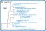 <p><strong>Fig. 76:1.</strong> Phylogenetic tree, which is based on 16S rRNA gene sequences and show the natural relations between members of the family <em>Enterobacteriaceae, </em>which belongs to the phylum<em> </em> <em>Proteobacteria</em>. Note that the genera <em>Escherichia</em> and <em>Shigella</em> are very closely related.</p>

<p>The tree was genererated by using the  computer program "Tree Builder" at <a href="http://rdp.cme.msu.edu/" target="_blank">RDP's web site</a>. <em>Clostridium botulinum</em>, typ C, which belongs to phylum <em>Tenericutes,</em> was used as outgroup. (T) means typ strain. The length of the scale bar is equivalent to one nucleotide difference per 100 nucleotide positions. Date: 2018-01-25.</p>