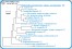 <p><strong>Fig. 69:9.</strong> Phylogenetic tree, which is based on 16S rRNA gene sequences ond show the natural relations between members of the family <em>Enterobacteriaceae, </em>which belongs to the phylum<em> </em> <em>Proteobacteria</em>. Note that the genera <em>Klebsiella</em> and <em>Citrobacter</em> are very closely related.</p>

<p>The tree was genererated by using the  computer program "Tree Builder" at <a href="http://rdp.cme.msu.edu/" target="_blank">RDP's web site</a>. <em>Clostridium botulinum</em>, typ C, which belongs to phylum <em>Tenericutes,</em> was used as outgroup. (T) means typ strain. The length of the scale bar is equivalent to one nucleotide difference per 100 nucleotide positions. Date: 2018-02-01.</p>