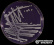 <p><b>Fig. 23:5.</b> Colonies of <i>Staphylococcus hyicus</i>, cultivated on purple agar (with lactose) at 37°C during 24 h. The length of the scale bar is equivalent to 1 cm. Date: 2025-08-24.</p>
