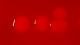 Staphylococcus intermedius